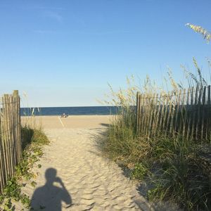 Meet your Posher, Toby